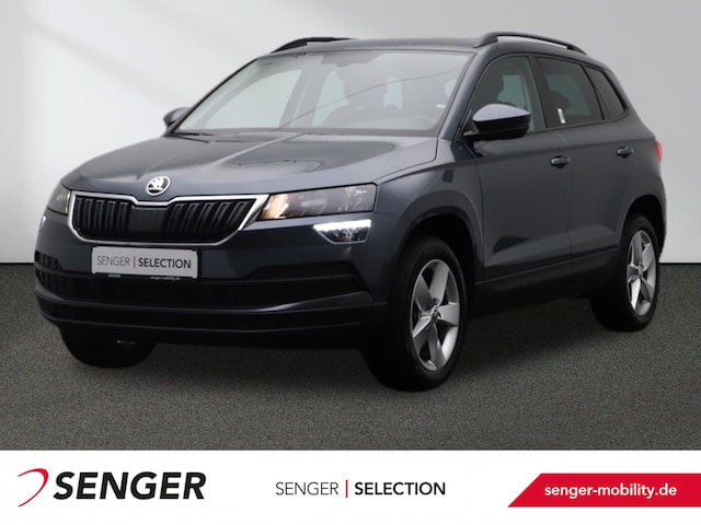 Skoda Karoq Karoq 1,5 l Kamera Navi AHK LED-Ablagen-Paket