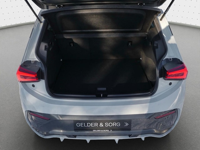 Cupra Born Born Fahrschul-Paket*Rückfahrkamera*Navi*LED