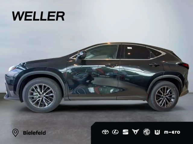 Lexus NX Executive Line