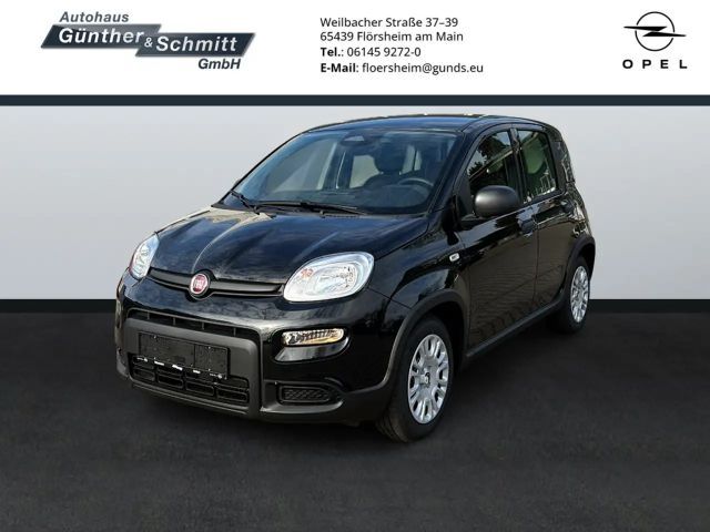 Fiat Panda 1.0 Pandina