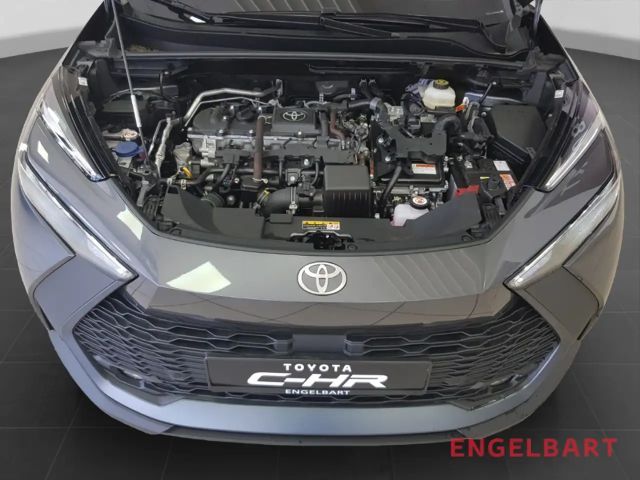Toyota C-HR Team D