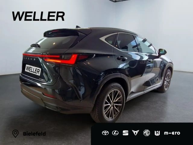 Lexus NX Executive Line