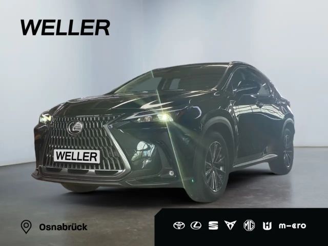 Lexus NX Executive Line