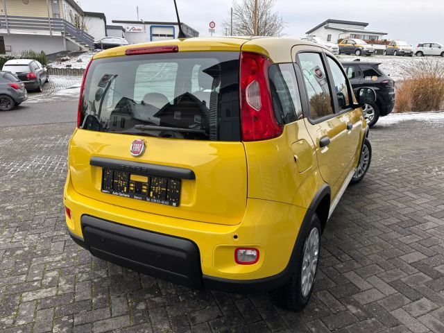 Fiat Panda Hybrid Klimaanlage/ABS/Garantie