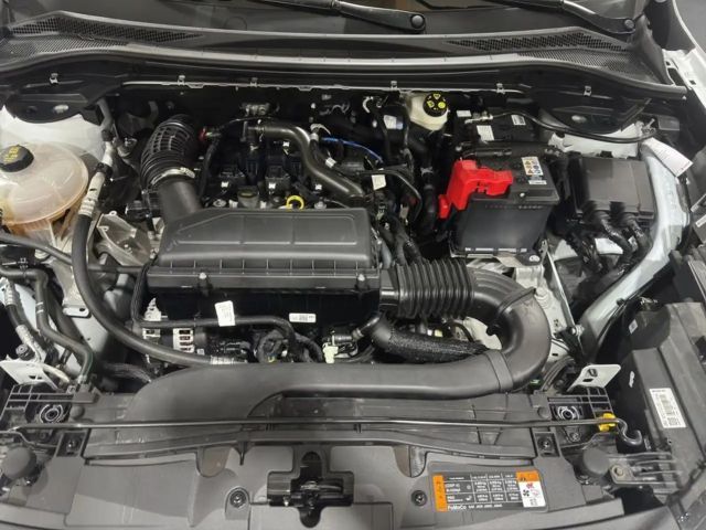 Ford Kuga EcoBoost ST Line X