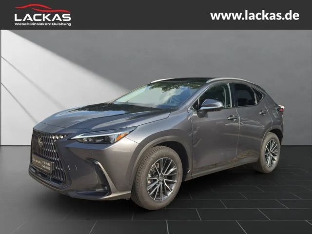 Lexus NX 4x4 Executive Line