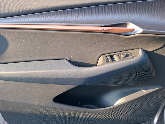 Cupra Tavascan Endurance