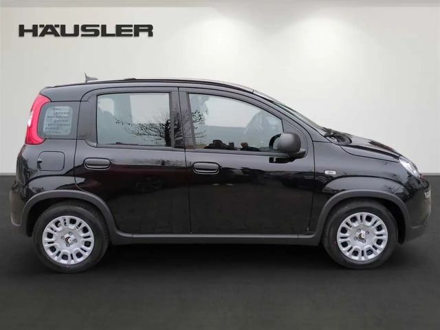 Fiat Panda Hybrid 1.0 GSE Klimaanlage Einparkhile hinten