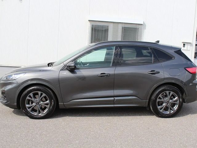 Ford Kuga Hybrid ST Line