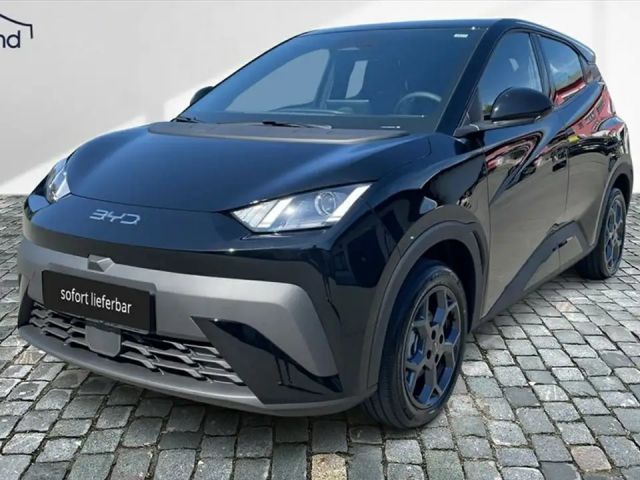 BYD Dolphin Surf Boost