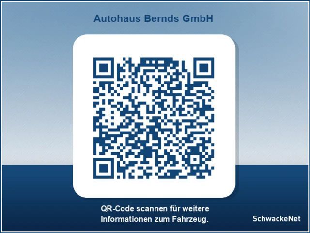 Ford Mustang Mach-E ONE Pedal Drive KLIMA LED Scheinwerfer SHZ LM ZV