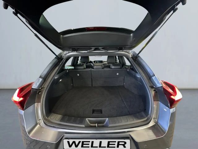 Lexus UX 250h