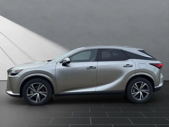 Lexus RX-Serie 350h 4x4 Business Line