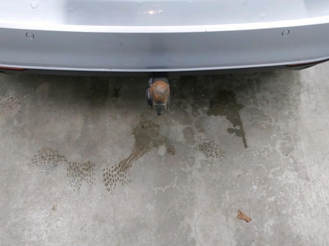 Volkswagen Passat 2.0 TDI DSG Variant