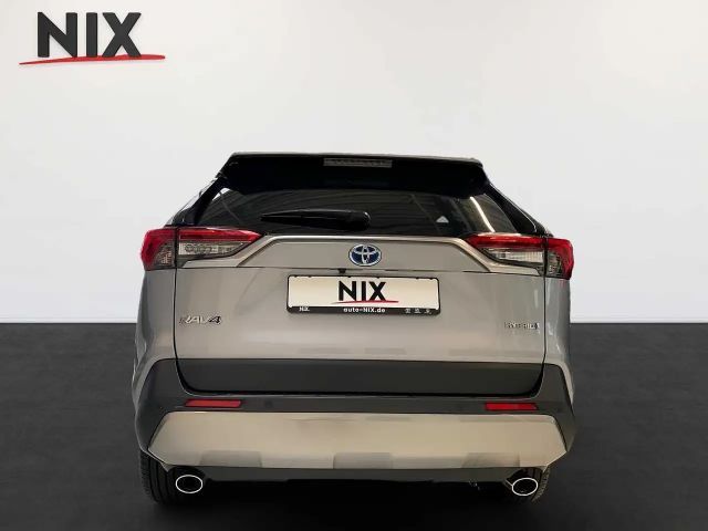 Toyota RAV4 Hybride Team D