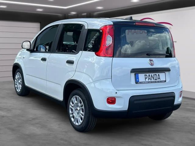 Fiat Panda Pandina 1.0 GSE
