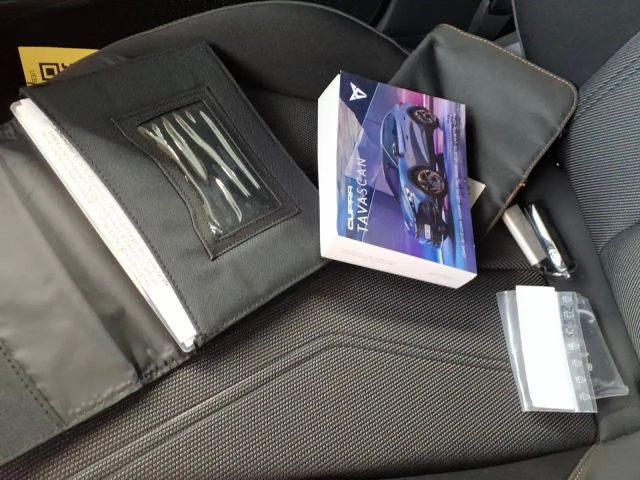 Cupra Tavascan Endurance