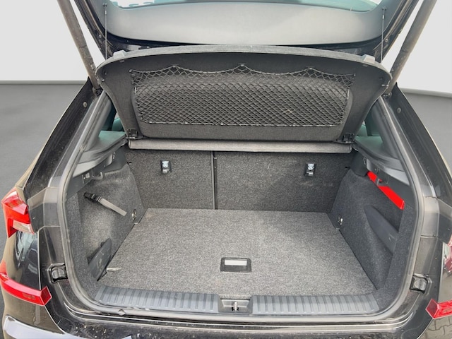 Skoda Kamiq Monte Carlo