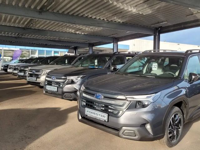 Subaru Forester Exclusive