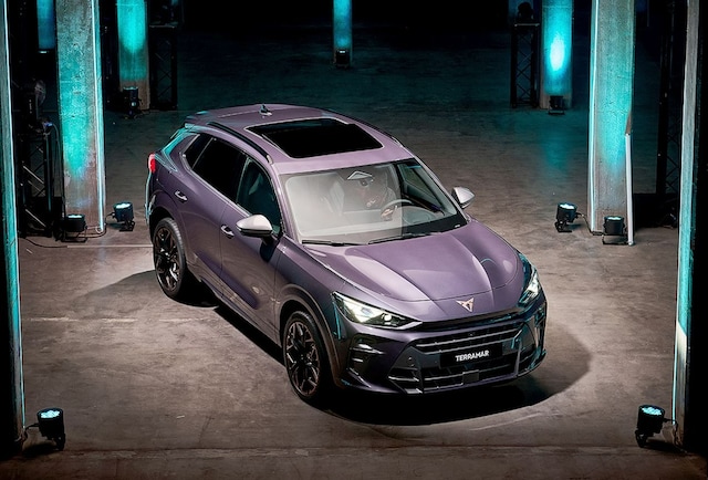 Cupra Terramar TSI DSG PANO+AHK+KAMERA+SENNHEISER+HEAD-UP+MEMORY+KEYLESS+20 ALU!