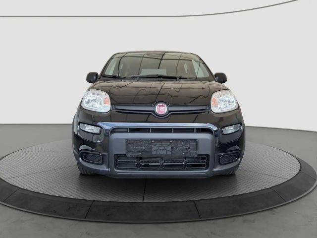 Fiat Panda Cross