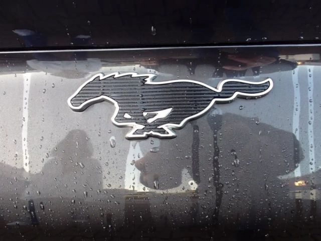 Ford Mustang Mach-E Extended range