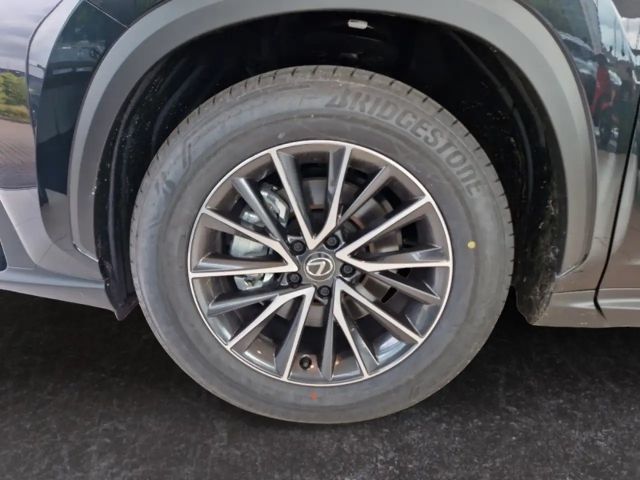 Lexus NX Executive Line