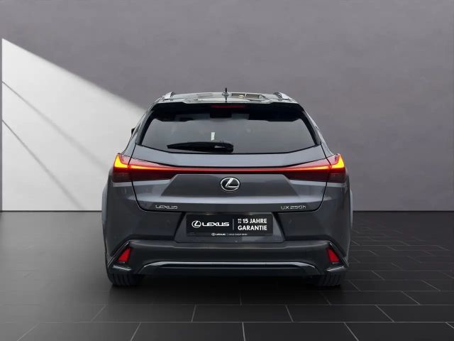 Lexus UX 250h F Sport Sport