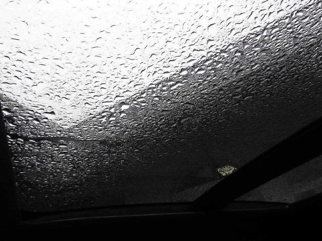 Ford Focus Active Limited