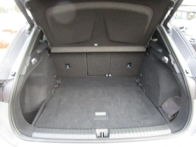 Cupra Terramar 2.0 TSI VZ