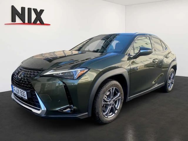 Lexus UX 250h Executive Line