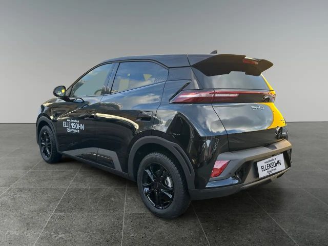 BYD Dolphin Surf Comfort