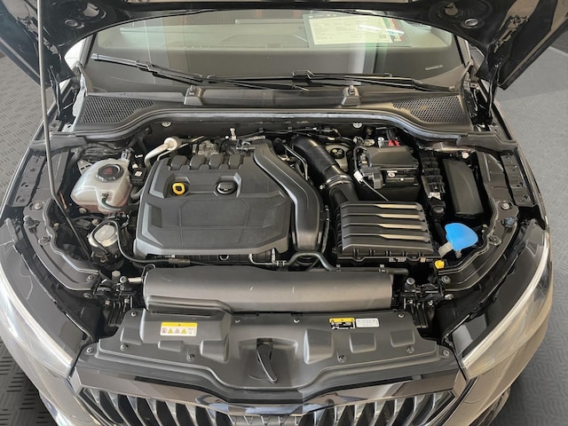 Skoda Scala Monte Carlo