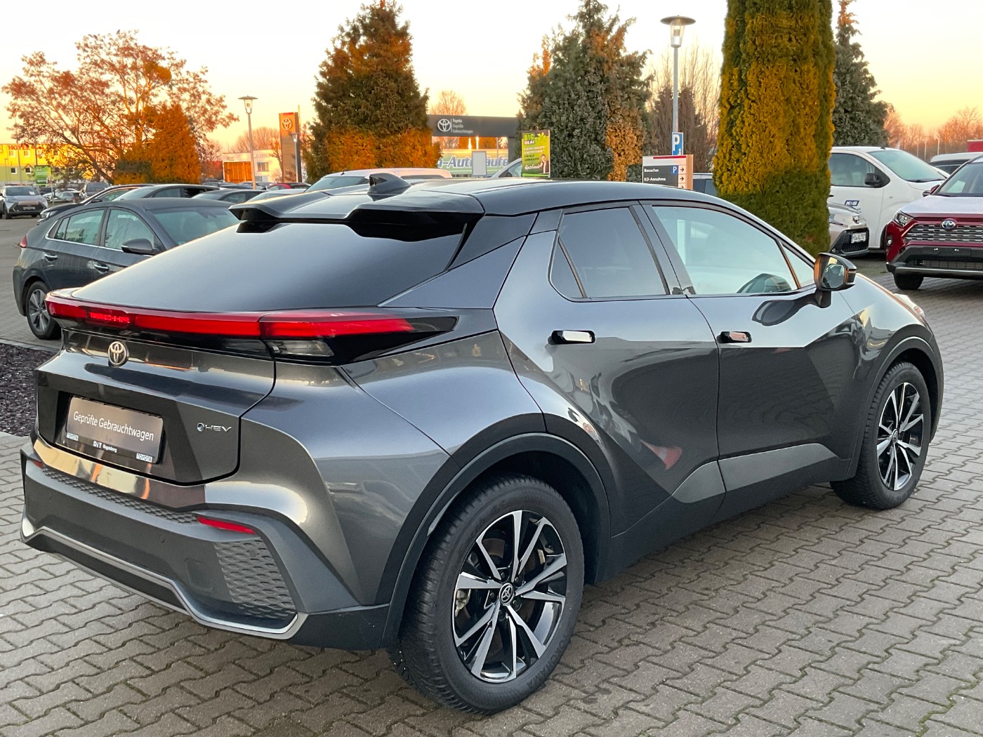 Toyota C-HR 5-deurs Team D