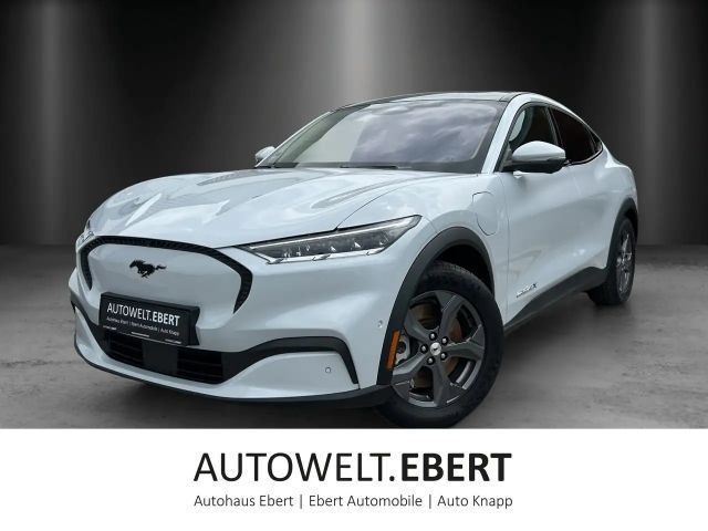 Ford Mustang Mach-E Mustang MACH-E Navi Leder Panodach