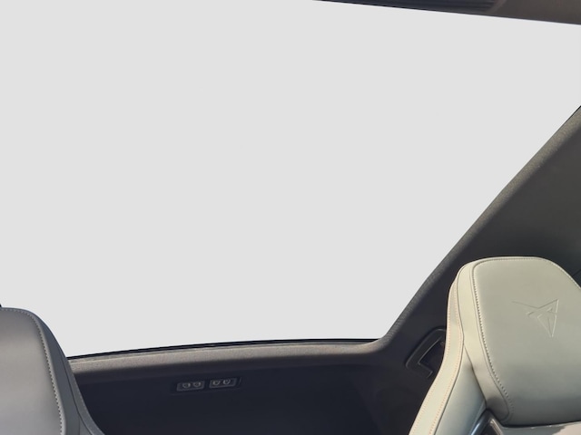 Cupra Born 240 KW 79 kWh ACC Navi KlimaA PDC Pano