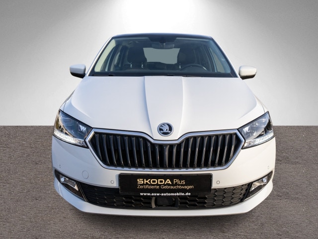 Skoda Fabia 1.0 TSI Clever