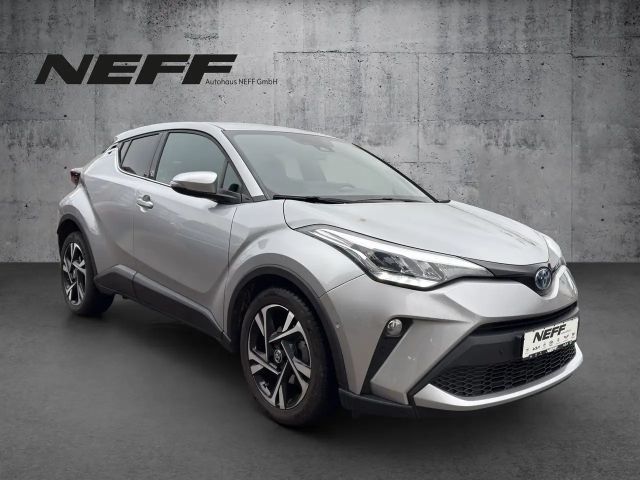 Toyota C-HR Team D