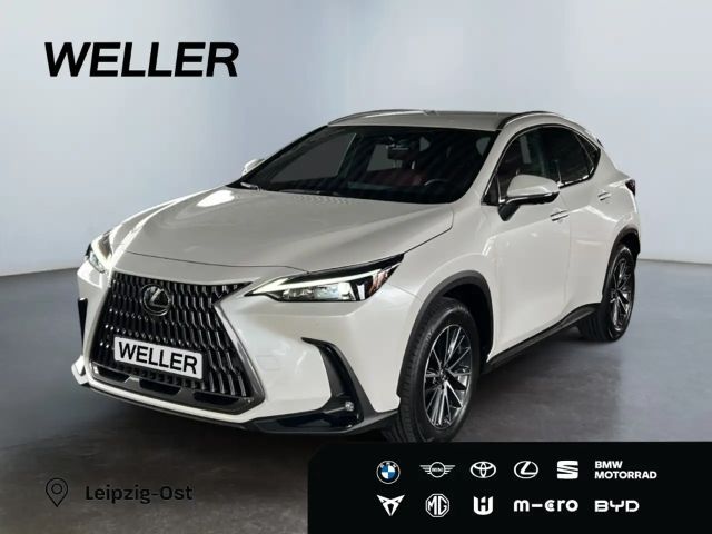 Lexus NX Executive Line