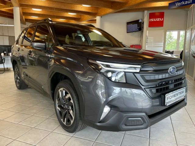 Subaru Forester Exclusive