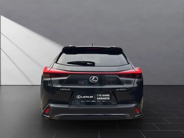 Lexus UX 250h F Sport Sport