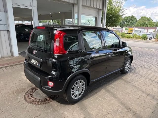 Fiat Panda 1.0 Hybrid 70PS Pandina