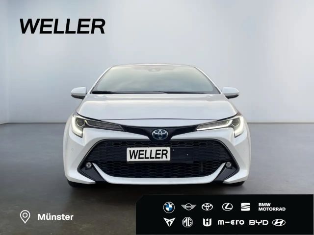 Toyota Corolla Hybride Team D