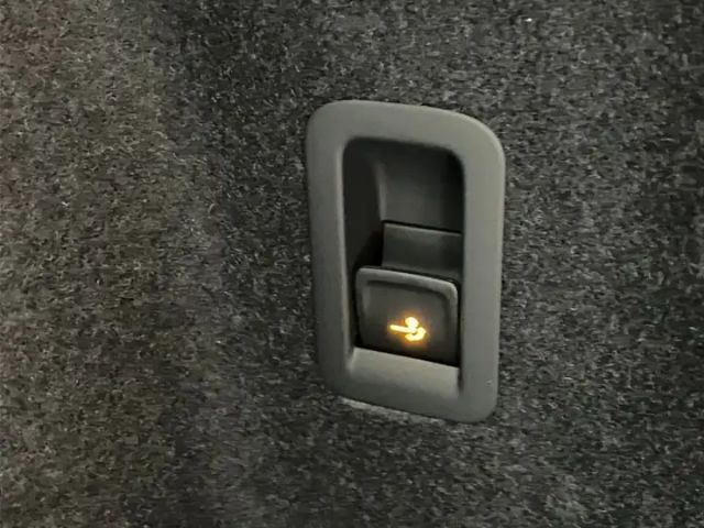 Cupra Terramar 2.0 TSI