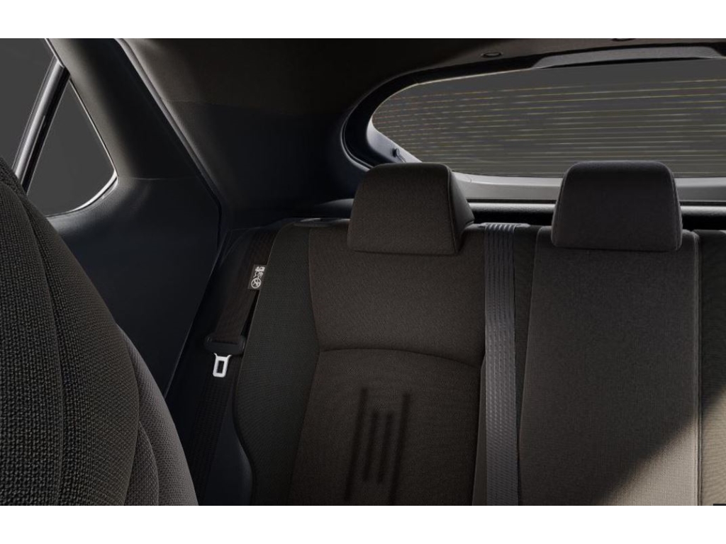 Toyota C-HR 5-deurs Team D