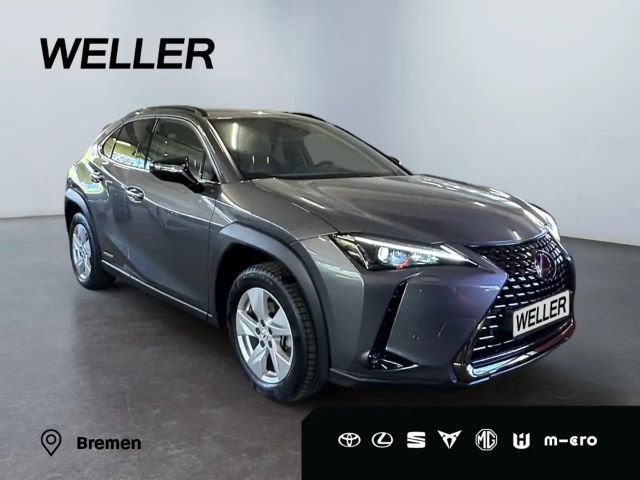 Lexus UX 250h