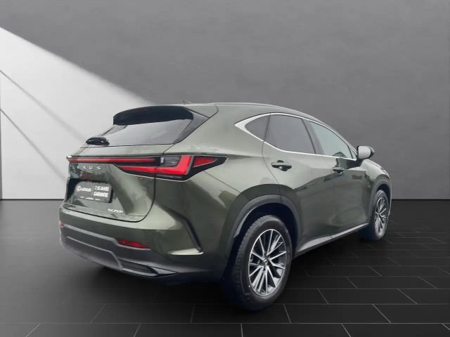Lexus NX Executive Line
