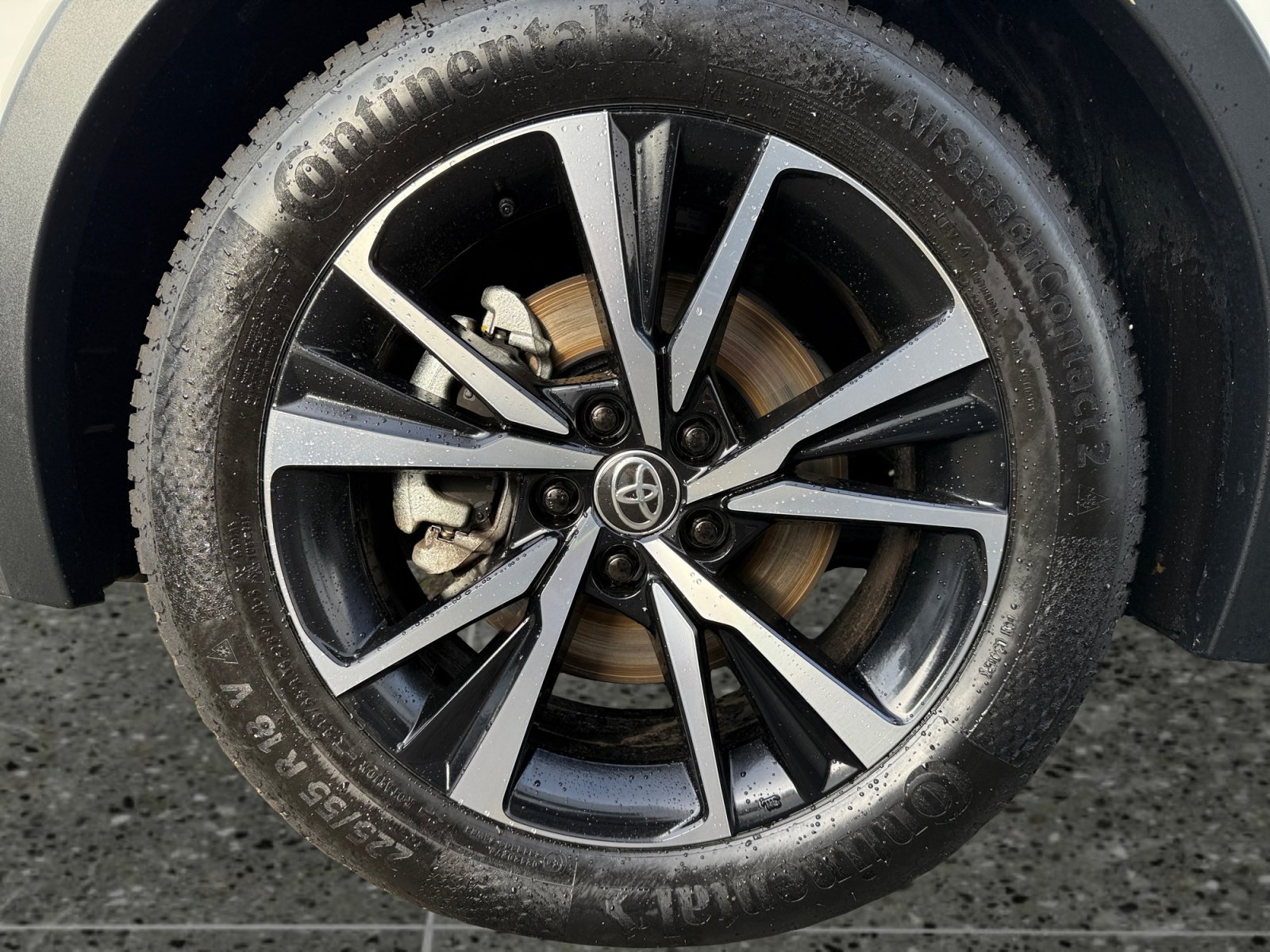 Toyota C-HR 5-deurs Team D