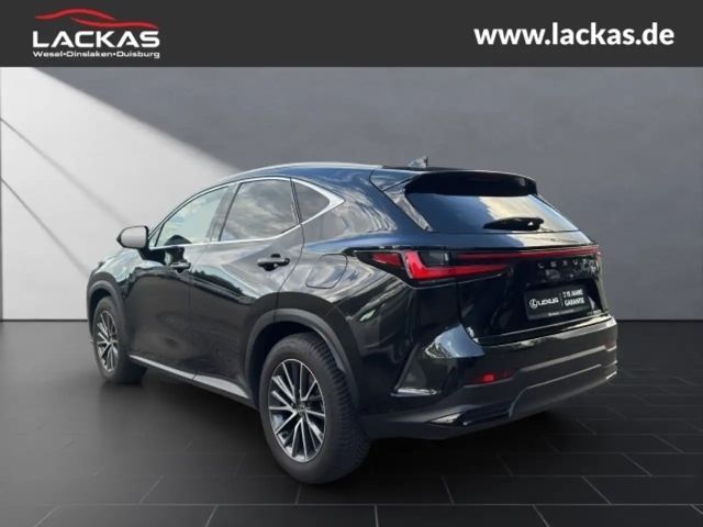 Lexus NX Executive Line