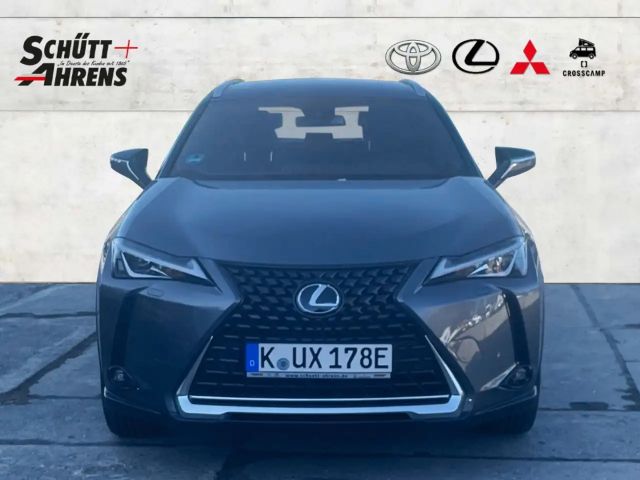 Lexus UX Exe LED ASSI ACC KAM Leder NAVI